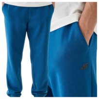 Spodnie dresowe joggery męskie 4F 4FWMM00TTROM1140-46S Zielony Roz. XL 4F