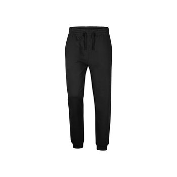 Spodnie dresowe męskie LUMBERJACK PANTS-L - Inna marka