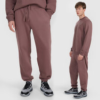 Spodnie Męskie 4F Sportowe Dresowe Joggery Brązowe 4FWAW25TTROM1273 M Brązowy 4F