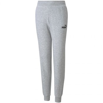 Spodnie Puma ESS Sweatpants TR Jr 587037 (kolor Szary/Srebrny, rozmiar 116cm) - Inna marka