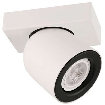 Spot LAMPA sufitowa NUORA SPL-2855-1B-WH Italux metalowa OPRAWA regulowany reflektorek plafon biały czarny - ITALUX