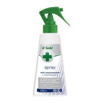 Spray z chlorheksydyną DR.SEIDEL, 100 ml DR.SEIDEL