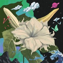 Spring 白雾岛