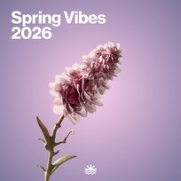 Spring Vibes 2026 Various Artists