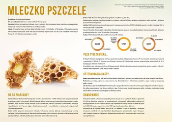 Średnia tablica edukacyjna MLECZKO PSZCZELE - wzór F253 - BEE&HONEY