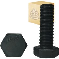 Śruba M12x55 25szt DIN 933 sześciokątna kl. 10.9 czarna