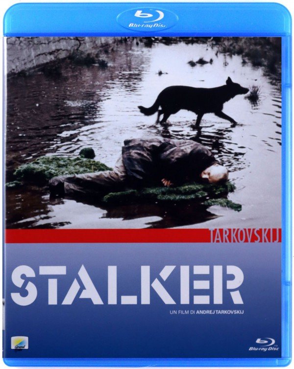 Stalker Director Stalker - Various Directors | Filmy Sklep EMPIK.COM