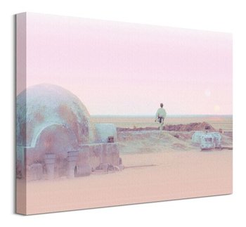 Star Wars Serene Tatooine - obraz na płótnie - Pyramid International