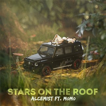 Stars On The Roof - Alcemist feat. MoMo