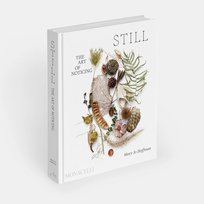 Still Mary Jo Hoffman