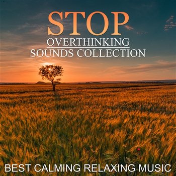 Stop Overthinking Sounds Collection: Best Calming Relaxing Music for Mindfulness Meditation, Yoga, Spa, Deep Sleep, New Age - Thinking Music World