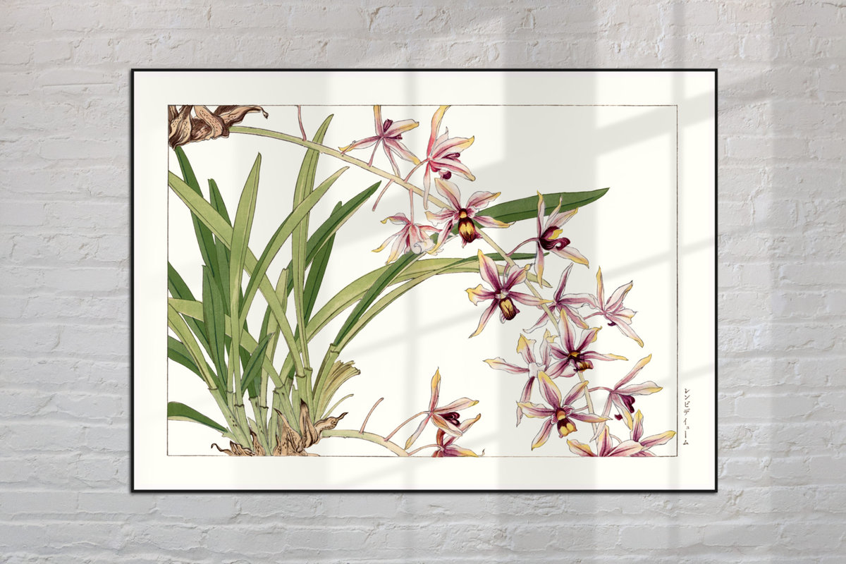 Storczyk Cymbidium Plakat Japonia Grafika Vintage X Cm A Dodoprint Dodoprint Sklep