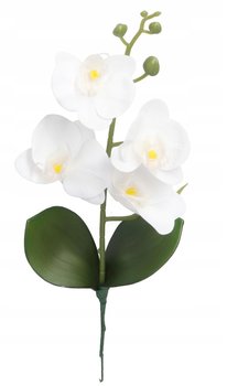 STORCZYK ORCHIDEA DO DONICZKI 38CM 4 GŁÓWKI - Inny producent