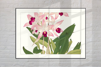 Storczyk Orchidea Plakat Japonia Grafika Vintage 21X30 Cm (A4) / Dodoprint - DodoPrint