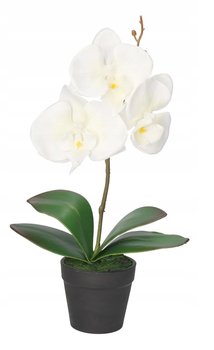 Storczyk Orchidea Sztuczne Kwiaty W Doniczce - Inny producent