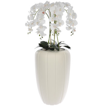 Storczyk sztuczny biały w donicy bukiet kwiaty H 112 cm donica kremowa - Botle