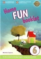 Storyfun Level 6 Home Fun Booklet - Capone Michela
