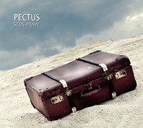 Stos Spraw Pectus