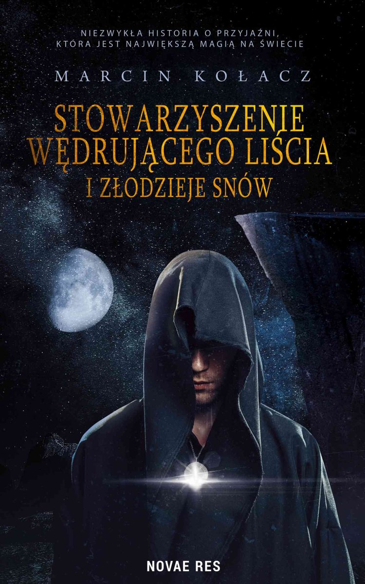 Stowarzyszenie wędrującego liścia i złodzieje snów - ebook mobi