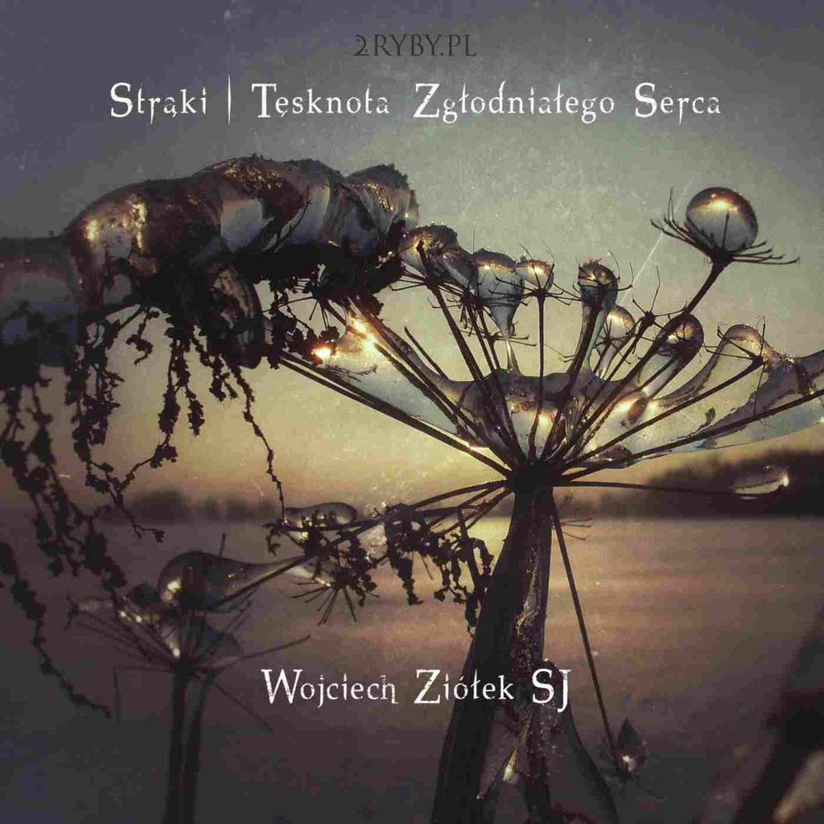 Tesknota Sila Budujaca Czy Niszczaca Zycie Strąki. Tęsknota zgłodniałego serca - Ziółek Wojciech | Audiobook Sklep