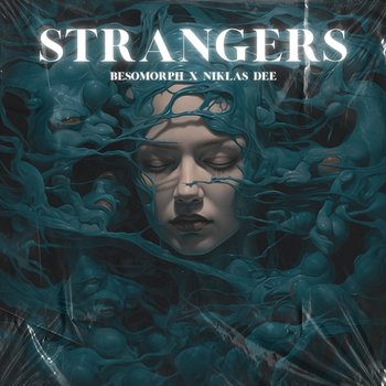 Strangers - Besomorph, Niklas Dee feat. HALUNA