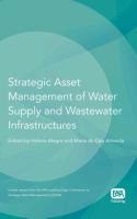Strategic Asset Management of Water Supply and Wastewater Infrastructures Iwa Leading Edge Conference On Strategic