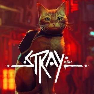 Stray - Tutorial - podcast - Michałowski Kamil, Radio Kampus