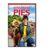 Strażacki pies Holland Tom