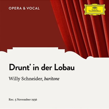 Strecker: Drunt' in der Lobau, Op. 290 - Willy Schneider, Orchestra, Walter Schutze