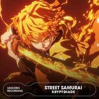 STREET SAMURAI KRYPT$HADE