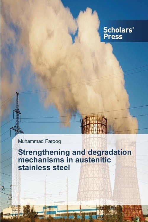 Strengthening and degradation mechanisms in austenitic stainless steel Farooq Muhammad