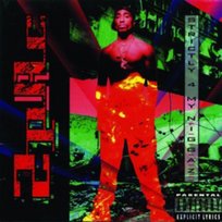 2Pac + Outlawz – Still I Rise – 2 x Vinyl (LP, Album), 1999