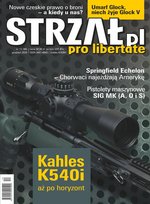 Strzałpl