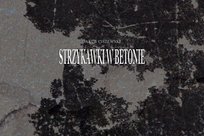 Strzykawki w Betonie Ciszewski Jakub