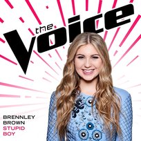 Stupid Boy Brennley Brown