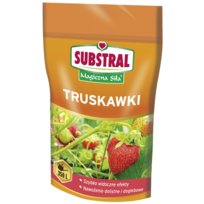 SUBSTRAL Magiczna Siła Nawóz do truskawek 350g