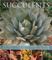 Succulents Hewitt Terry