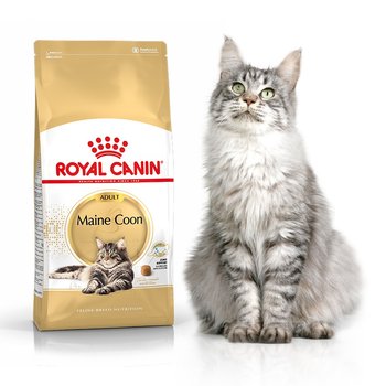 Sucha karma dla kota, Royal Canin Maine Coon 2kg - Royal Canin