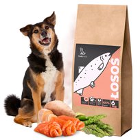 Sucha Karma Takipies Łosoś Dla Psa Hipoalergiczna Małych Ras Sierść 65% 6Kg / Takipies