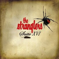 Suite XVI The Stranglers