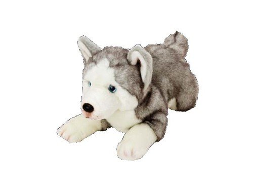 Suki, maskotka Husky