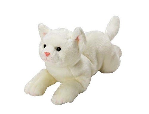 Suki, maskotka Kot