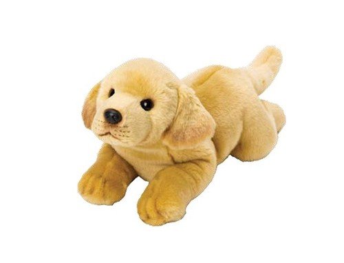 Suki, maskotka Labrador