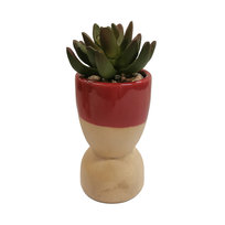 Strefa super rabatów