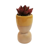 Strefa super rabatów