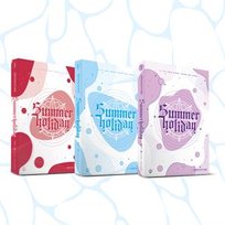 Summer Holiday Dreamcatcher