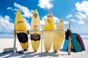SUN, SEA, SURF plakat 91x61cm - Pyramid Posters