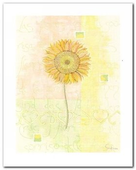 Sunflower plakat obraz 40x50cm - Wizard+Genius