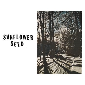 Sunflower Seed - Magazine Beach