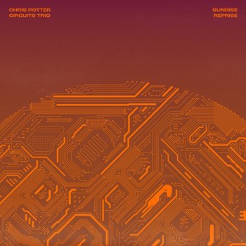 Sunrise Reprise (Limited Vinyl Edition), płyta winylowa - Chris Potter Circuits Trio